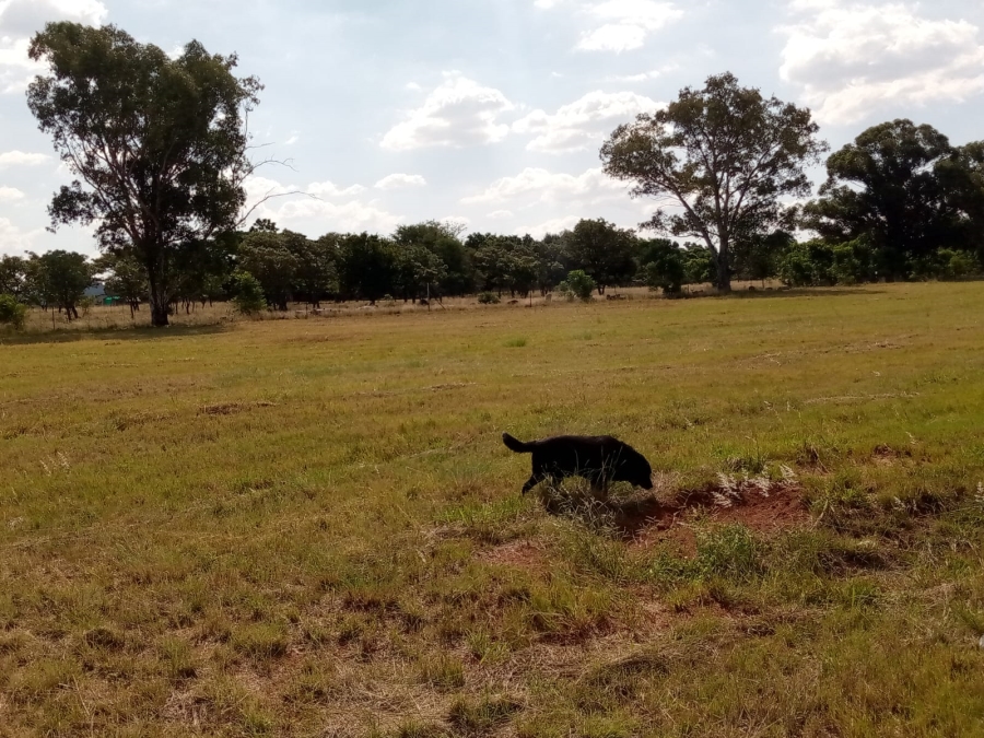 3 Bedroom Property for Sale in Grootfontein North West
